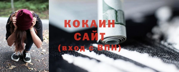 гидропоника Бородино