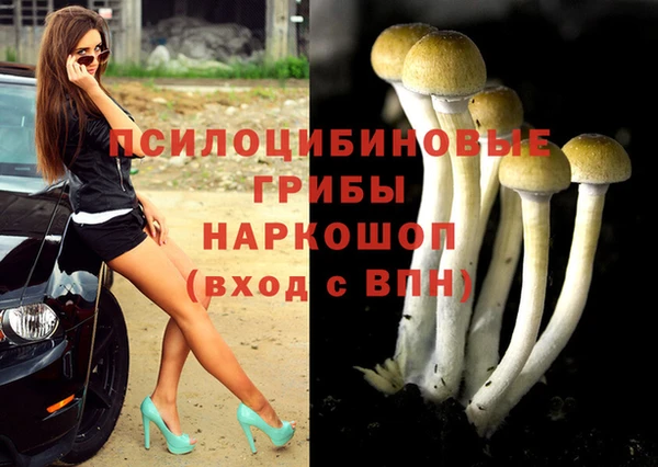тгк Бугульма