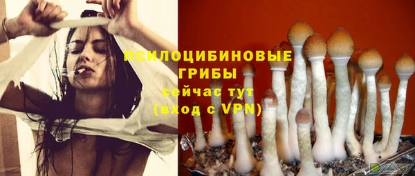 не бодяженный Бронницы