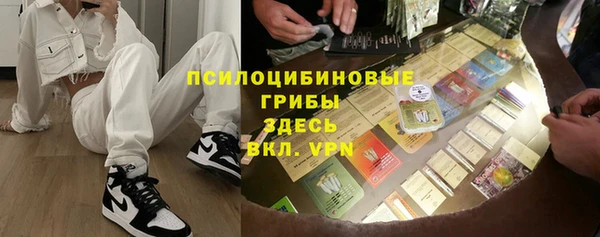 гидропоника Бородино