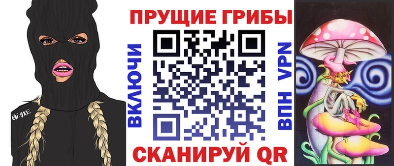 Галлюциногенные грибы MAGIC MUSHROOMS  Чита 